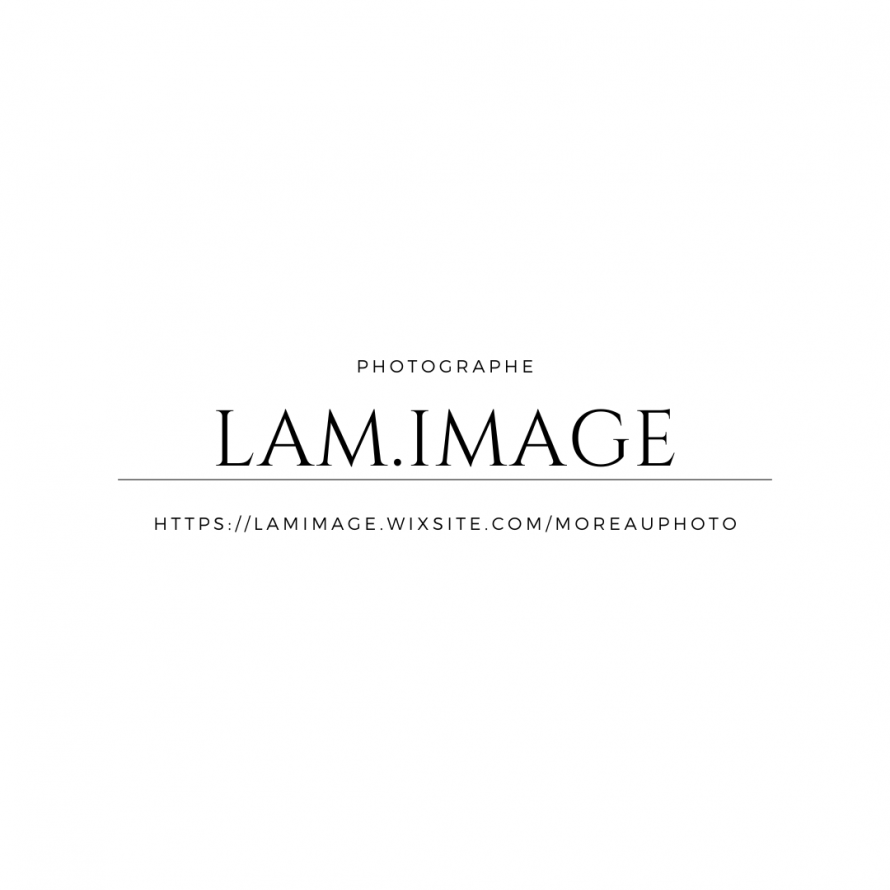 LAM IMAGE
