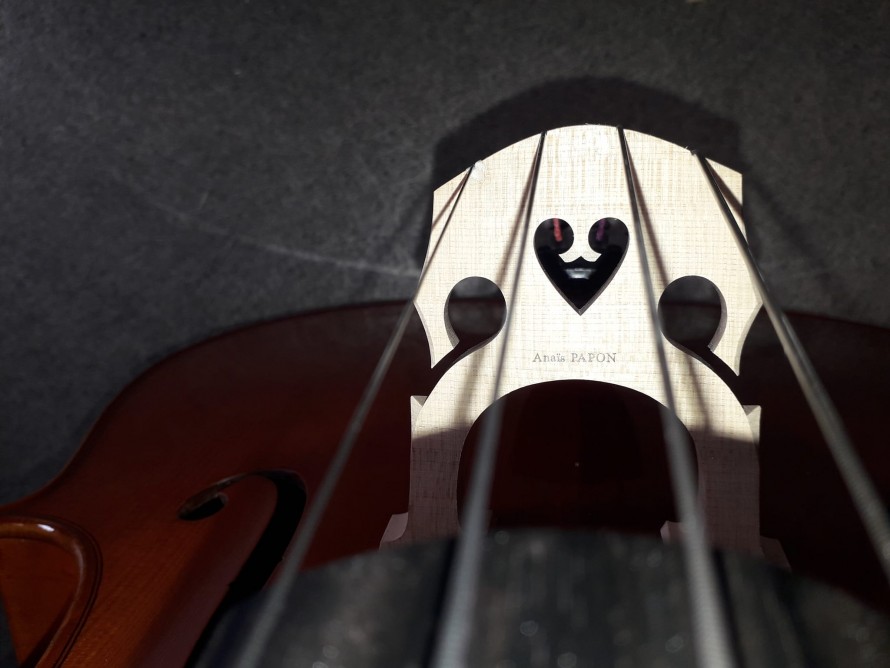 L'ATELIER D'ANAIS - LUTHERIE
