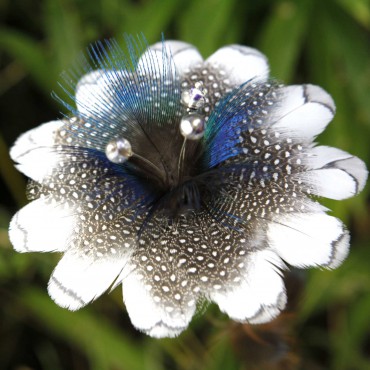 Fleur de Plumes Lynx (Plumes de pigeon lynx de Pologne, pintade et paon)