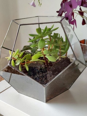 dodécaèdre terrarium petit.jpg